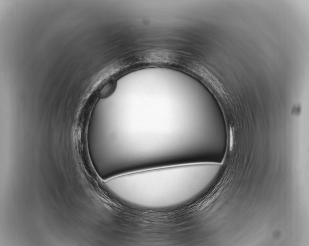 X0000099940723200805231020