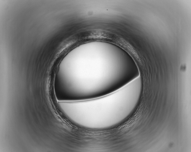 X0000099940724200805231020