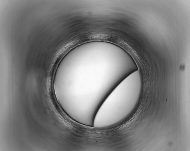 X0000099940725200805231020