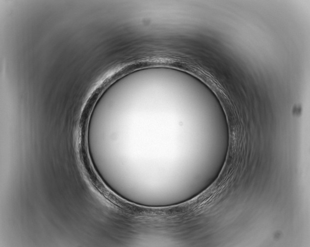 X0000099940726200805231020