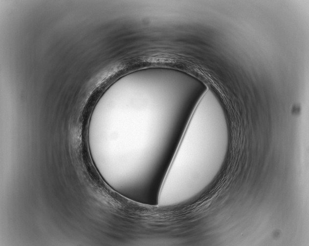 X0000099940727200805231020