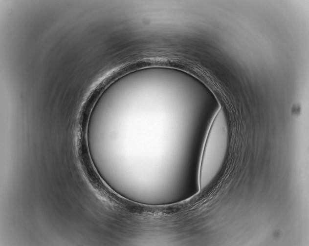 X0000099940728200805231020