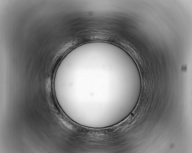 X0000099940729200805231020