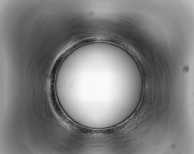 X0000099940730200805231020
