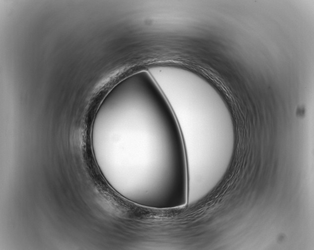 X0000099940732200805231020
