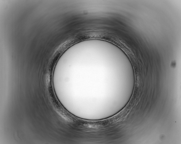 X0000099940733200805231020
