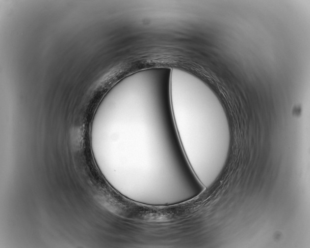 X0000099940735200805231020