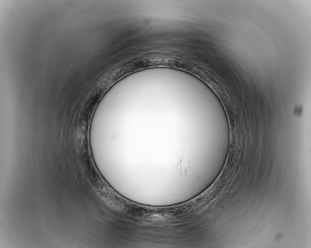 X0000099940737200805231020