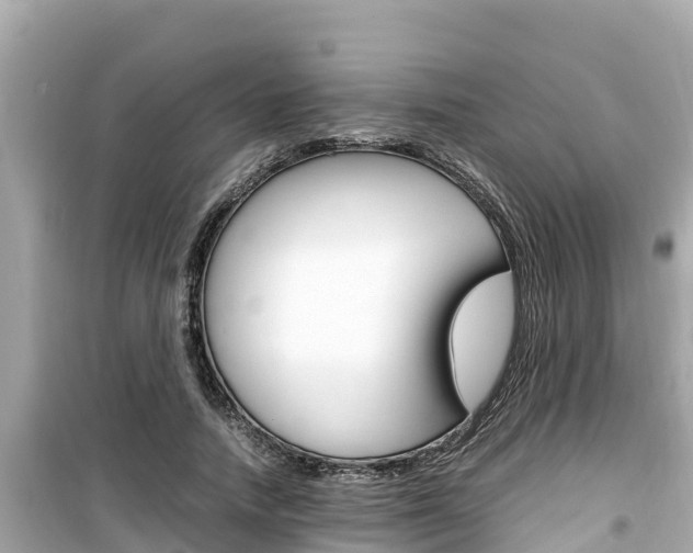 X0000099940738200805231020