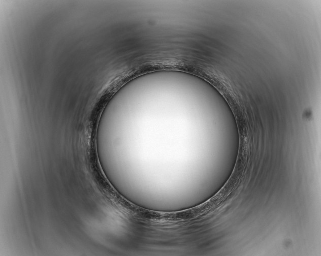 X0000099940739200805231020