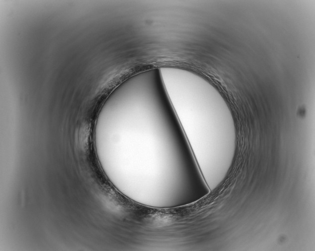 X0000099940742200805231020