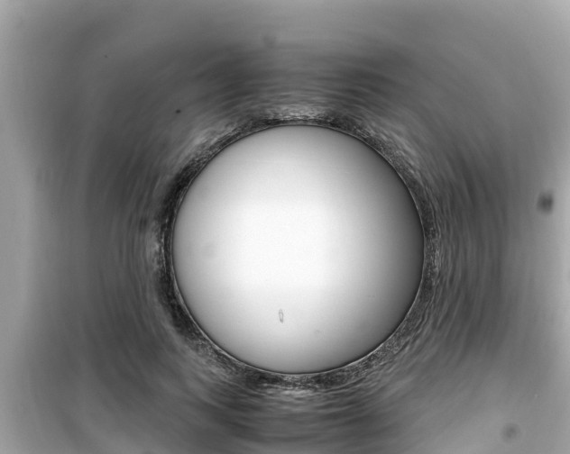 X0000099940743200805231020