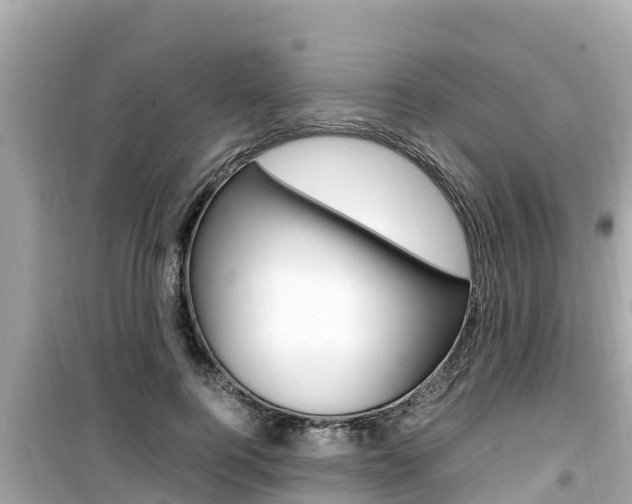 X0000099940744200805231020