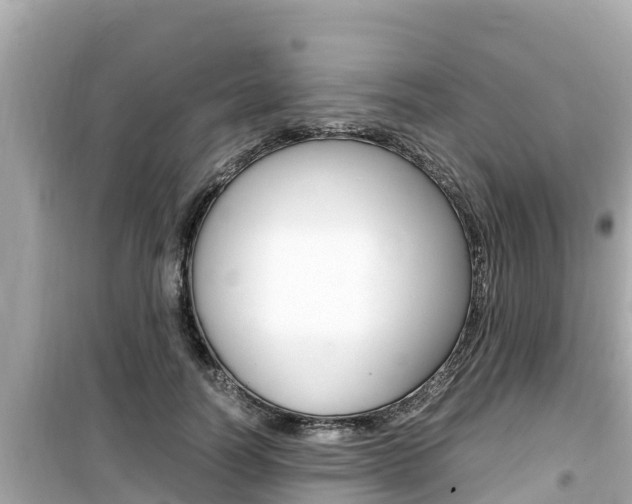 X0000099940746200805231020