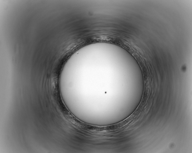 X0000099940747200805231020