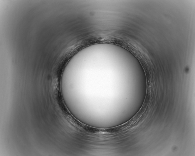 X0000099940748200805231020
