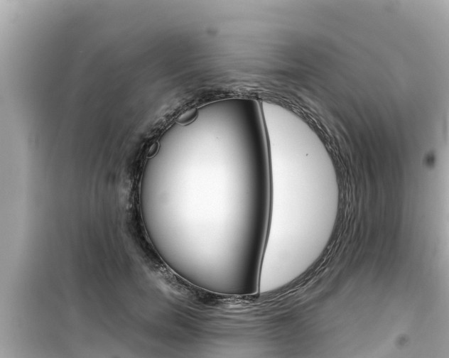 X0000099940750200805231020