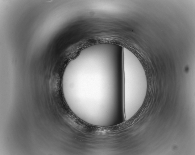 X0000099940760200805231021