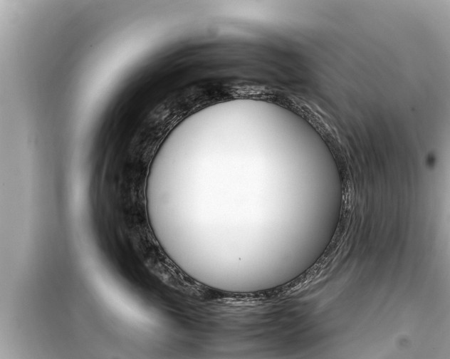 X0000099940763200805231021