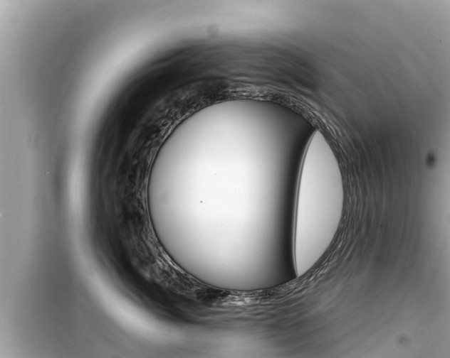 X0000099940764200805231021