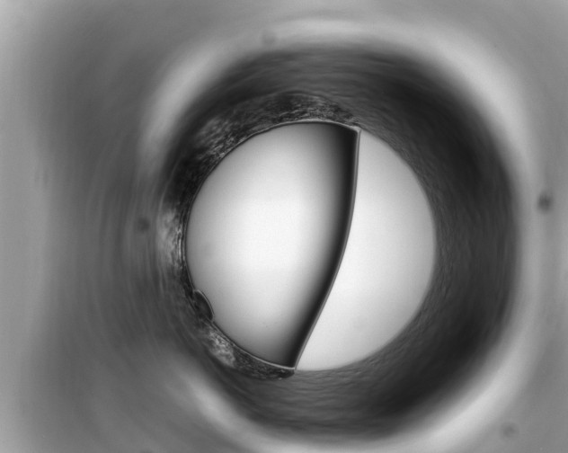 X0000099940766200805231021