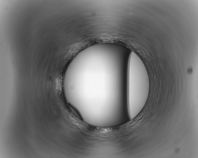 X0000099940768200805231021