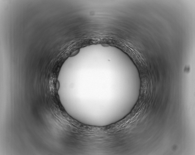 X0000099940770200805231020