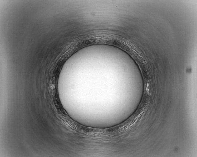 X0000099940771200805231020