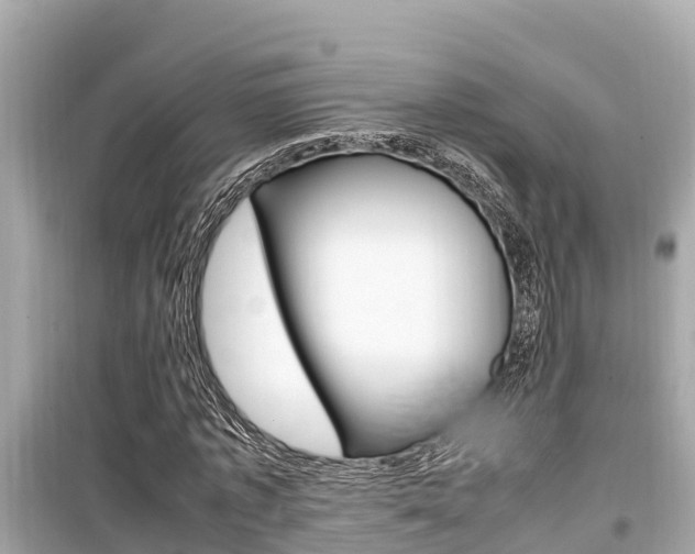 X0000099940773200805231020