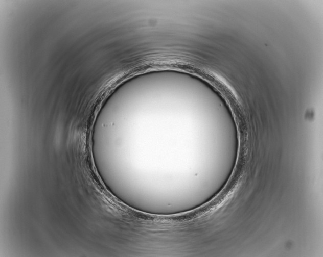 X0000099940777200805231020