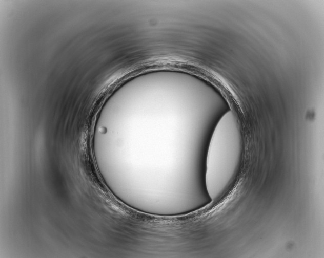 X0000099940778200805231020