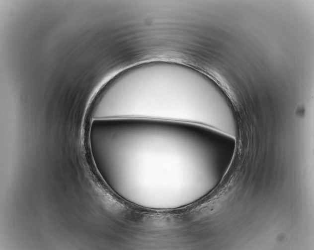 X0000099940780200805231020