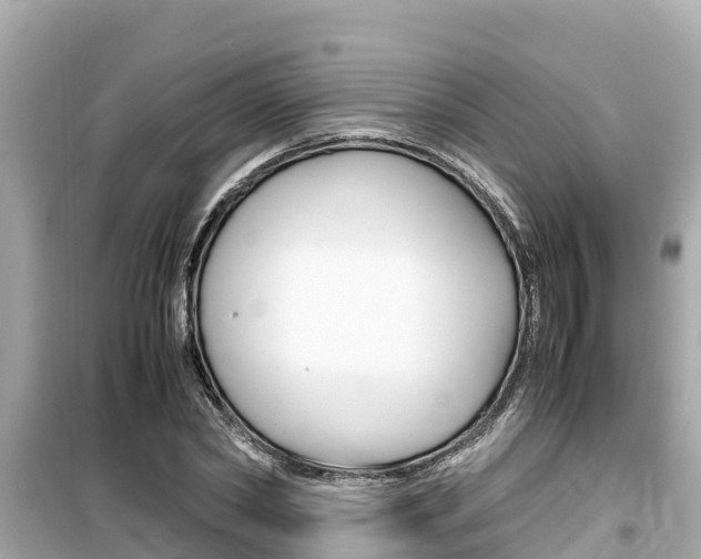 X0000099940782200805231020