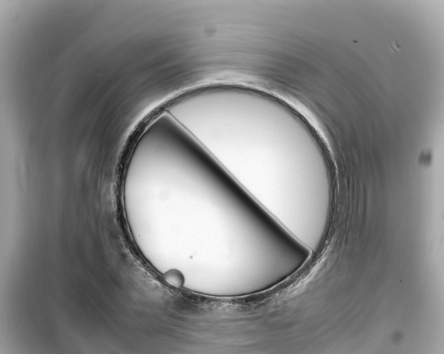 X0000099940783200805231020