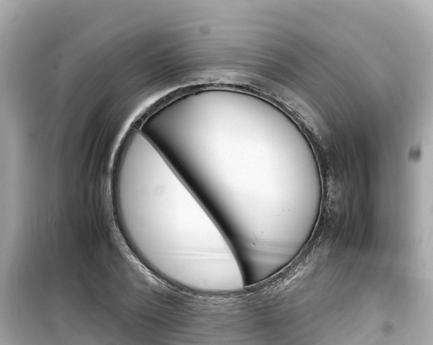 X0000099940784200805231020
