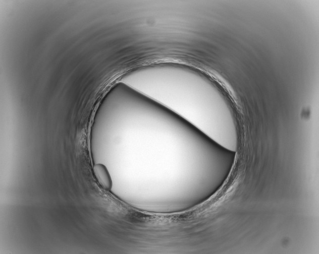 X0000099940785200805231020