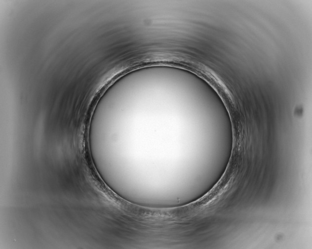 X0000099940786200805231020