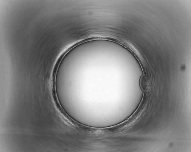 X0000099940787200805231020
