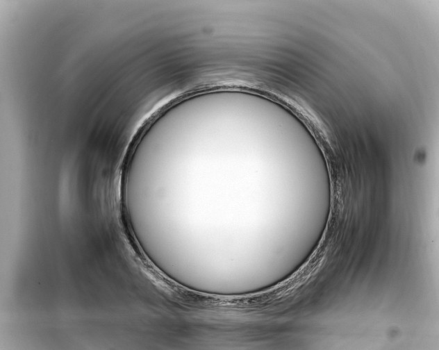 X0000099940790200805231020