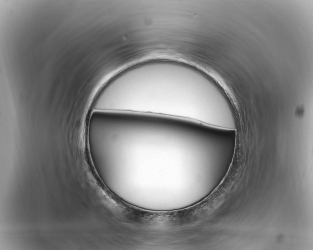 X0000099940791200805231020