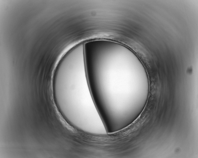 X0000099940792200805231020