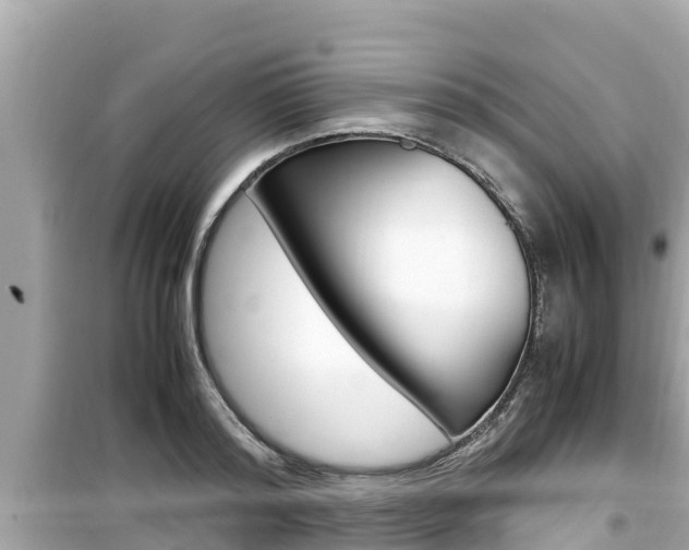 X0000099940796200805231020