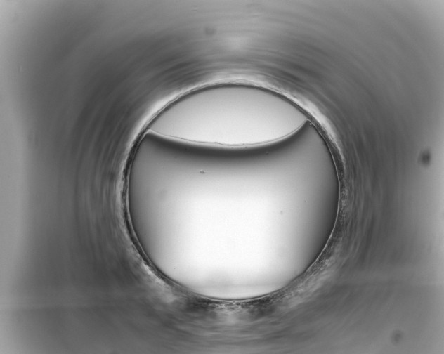 X0000099940799200805231020