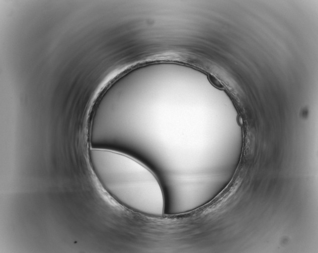 X0000099940800200805231020