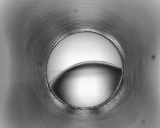 X0000099940801200805231020