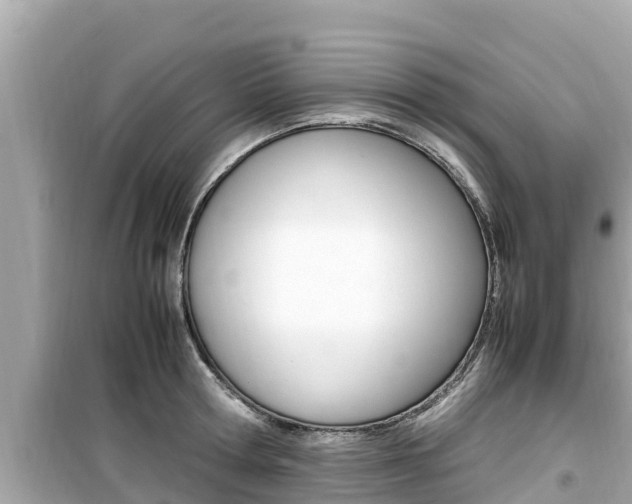 X0000099940802200805231020