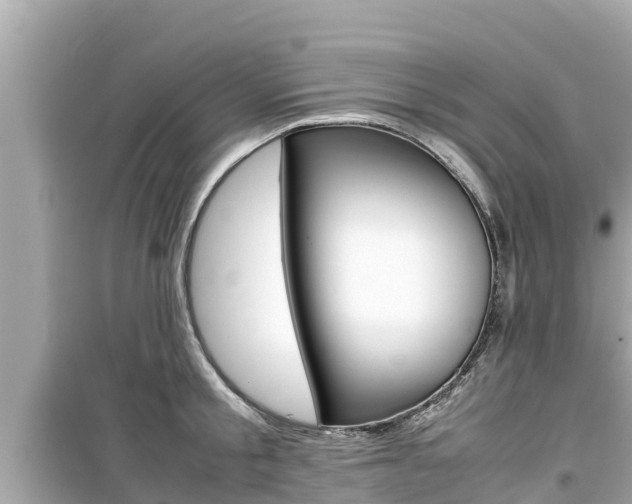 X0000099940805200805231020