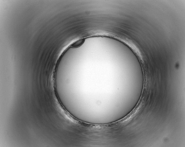 X0000099940806200805231020