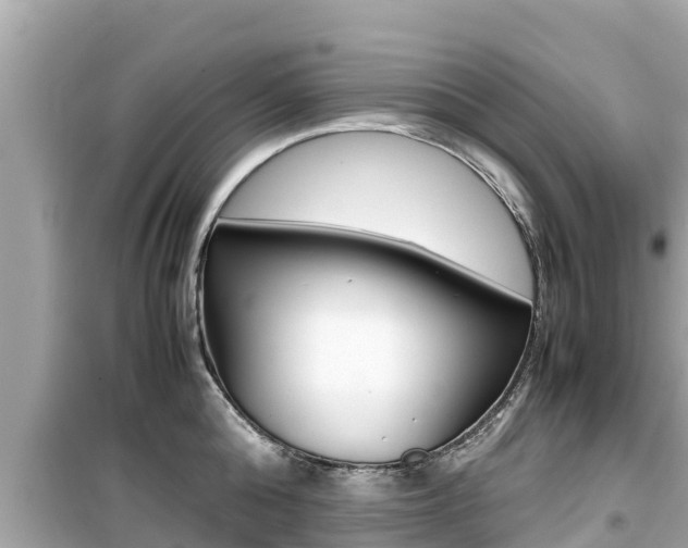 X0000099940808200805231020