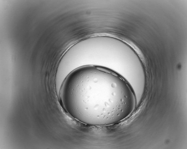 X0000099940809200805231020
